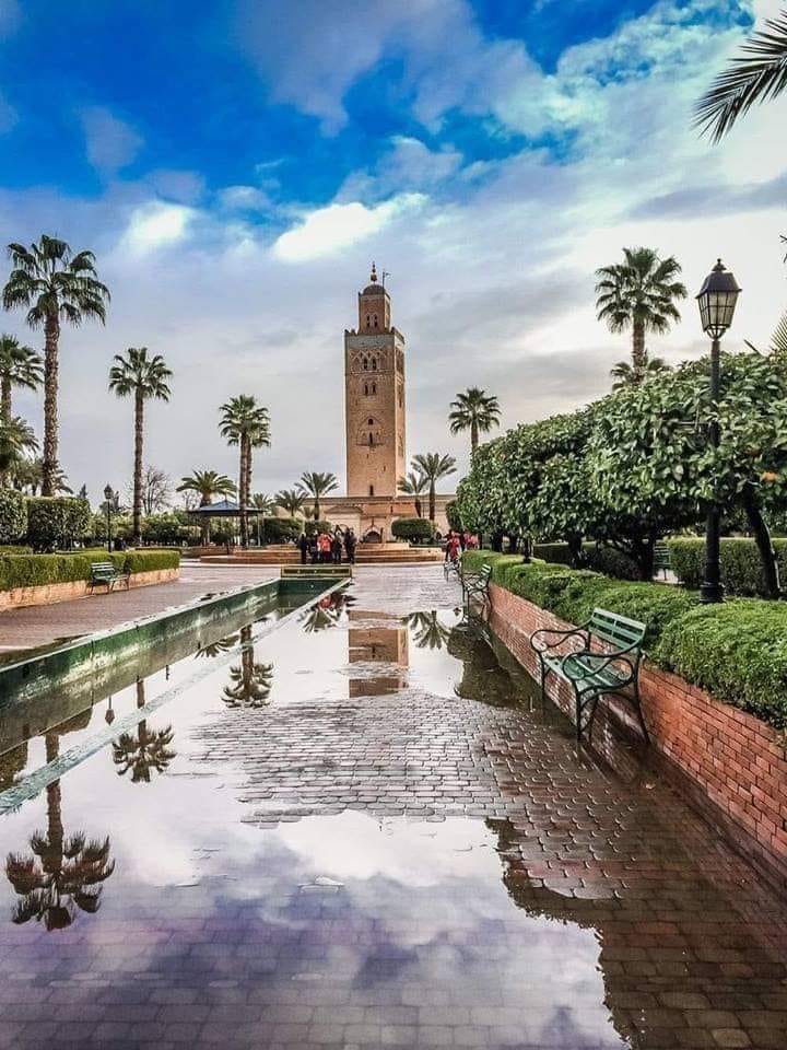 Marrakech : Guide Complet des Attractions Touristiques