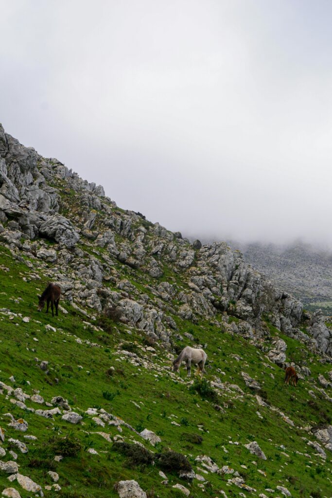 Tetouan